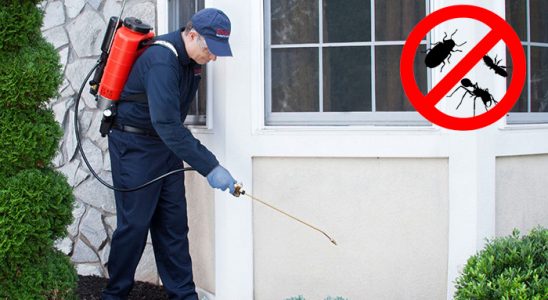 Ardahan Hamam Böceği İlaçlama böcek ilaçlama ve haşere kontrolü — ilaclama-tr.com